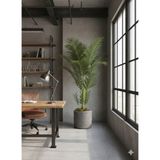 Feyza Design 37X33 cm Antrasit Beton Görünümlü Fiberglas Saksı, Modern ve Şık Tasarım - Seçenek 1