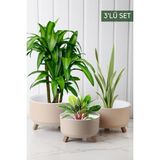 Feyza Design 3'lü 20-25 cm Tripot Saksı Seti, 15-20 cm Plastik Yuvarlak Tasarım - Ahşap - Bej