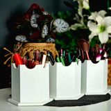 Feyza Design 3'lü Kalem Kutusu Petek Altıgen Makyaj Malzemesi Organizer Beyaz Lake - Ahşap - Beyaz