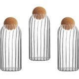 Feyza Design 3'lü Top Mantar Kapaklı Çizgili Cam Kavanoz ve Baharatlık Seti 1000 ml - Altın