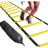Feyza Design 4 Metre Antrenman Merdiveni, 10 Basamak, Taşınabilir, Kırılmaz, Plastik - Altın