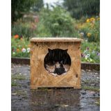 Feyza Design Ahşap Kedi Evi 45X35X34 cm Sıcak ve Soğuğa Dayanıklı Osb - Seçenek 1