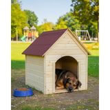 Feyza Design Büyük Boy Ahşap Köpek Kulübesi, Dayanıklı ve Şık Tasarım - Altın - Turkuaz - Seçenek 1