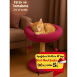Feyza Design Çift Fonksiyonlu Kedi Tırmalama Tahtası ve Yuvarlak Yatak 40 cm - Seçenek 1