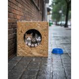 Feyza Design Dış Mekan Için Ahşap Kedi Evi 34X32X26 Cm, Dayanıklı ve Şık Tasarım - Seçenek 1