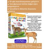 Feyza Design Eğitici Görsel Algı Zeka Kartları - Çocuklar Için Eğlenceli Öğrenme - Seçenek 1