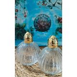 Feyza Design Iki Parça Tombul Cam Baharatlık Seti, Gold Renk, Modern ve Şık Tasarım - Seçenek 1