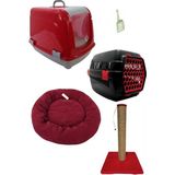 Feyza Design Kedi Başlangıç Seti: Tuvalet, Tırmalama, Yatak ve Taşıma Aksesuarları - Altın - Turkuaz