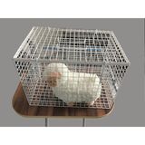Feyza Design Kedi Enjeksiyon Kafesi 45X31X31 Cm, Güvenli ve Konforlu Tasarım - Seçenek 1