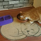 Feyza Design Kedi Paspası Tuvalet Mama Kum Önü, Kaymaz, Jüt Kumaş, 45X60 cm - Seçenek 1