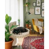 Feyza Design Kedi ve Köpek Için Rahat ve Sıcak Kalorifer Yatağı Hamak Kedi Yatağı - Ahşap - Bej - Seçenek 1
