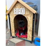 Feyza Design Küçük Irk Köpekler Için Rahat ve Şık Kulübe, Kolay Kurulum ve Taşıma - Ahşap - Seçenek 1