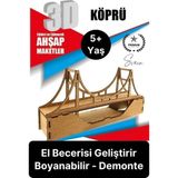 Feyza Design Özel Üretim 3 Boyutlu Minyatür Ham Ahşap Maket Boyanabilir Eğitici Öğretici Motor Beceri Hobi Oyun - Seçenek 1 - 001-Renkli