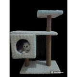 Feyza Design Rahat ve Şirin Kedi Evi, Konforlu Yaşam Alanı Için Ideal Seçim - Seçenek 1