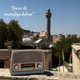 Feyza Design Şarjlı 301 Müzik Kutusu Bluetooth Nostaljik Radyo Fenerli ve Mavi Ledli Dekoratif Çalar - Ahşap - Ceviz