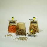 Feyza Design Şeffaf Cam Baharat Takımı 3'lü, Pratik ve Şık Mutfak Gereçleri - Seçenek 1