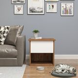 Feyza Design Şık ve Kullanışlı Kedi Evi, Kafesi ve Yan Sehpa Kombinasyonu - Seçenek 1