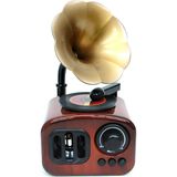 Feyza Design Şık ve Zarif Müzik Kutusu, Nostaljik Gramofon Tasarımıyla Evinize Şıklık Katıyor - Amber