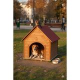 Feyza Design Soğuk ve Sıcak Hava Dayanıklı Büyük Ahşap Köpek Kulübesi, Kırmızı Ceviz - Altın - Turkuaz - Seçenek 1