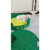 Feyza Design Yeşil Kedi Yatağı ve Kuru Mama Kabı Seti, Özel Isimli Tasarım - Seçenek 1