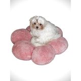 Feyza Design Yumuşak ve Şık Kedi Köpek Kırlent Minder, Ev Dekoruna Tatlı Dokunuş - Ahşap - Bej - Seçenek 1