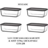 Feyzade Cube Saklama Kabı Seti 4 Adet 1170CC (CUB-238) - Gri