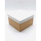 Feza Kutu Çok Amaçlı 23x23x15 cm 10 Adet Karton Pasta Kutusu