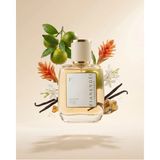 Fianendei Parfums W-P1 Vanilyalı Tuzlu Amber Kadın Parfüm Edp 50 ml - Şeffaf