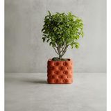 Fibrika Store Kapitone Desenli Modern Saksı