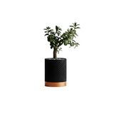 Fibrika Store Linea Noir – Modern Saksı