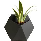Fibrika Store Modern Altıgen Duvar Saksısı