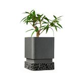 Fibrika Store Modern Mat Yüzeyli Dekoratif Saksı