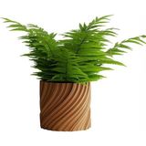 Fibrika Store Natura Modern Dekoratif Saksı