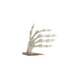 Fibrika Store-Skeleton Hand Dekoratif Kitap Tutucu - Modern Kitap Desteği