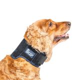 Fico Kedi ve Köpek Boyun Ortezi/Servikal Boyunluk, Boyun Stabilizasyonu ve Yara Koruması Sağlayan Ayarlanabilir Destek, Çıkarılabilir Atelli (Small)