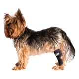 Fico Köpek Arka Bacak Desteği, Arka Ayak Bileği Ortezi, Çıkarılabilir Atelli Ayarlanabilir Destek, Artrit, Burkulma ve Ameliyat Sonrası için (X-Small)