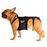 Fico Köpek Sırt Desteği, IVDD ve Artrit için Ayarlanabilir Omurga ve Disk Destek Aparatı, Veteriner Onaylı, Hafif ve Dayanıklı Ortopedik Sırt Korsesi (Large)
