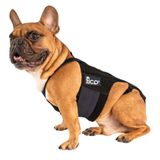 Fico Köpek Sırt Desteği, IVDD ve Artrit için Ayarlanabilir Omurga ve Disk Destek Aparatı, Veteriner Onaylı, Hafif ve Dayanıklı Ortopedik Sırt Korsesi (Medium)