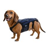 Fico Köpek Sırt Korsesi, Disk Fıtığı ve IVDD Omurga Desteği (Large)