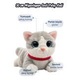 Fidan oyuncak Sevimli Peluş Yavru Kedi, Sesli, Miyavlayan, Oyun ve Uyku Arkadaşı; 20 cm, 4 renk.