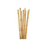 FİDAN PAZARI BAMBU BİTKİ DESTEK ÇUBUĞU 150 CM 10 ADET