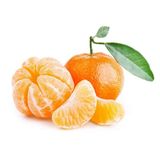 Fidan Sepetim 3 Yaş Aşılı W Murcott Mandalina Fidanı