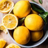 Fidan Sepetim 5 Yaş Aşılı 7 Veren(Yediveren) Mayer Limon Fidanı *ÜZERİ MEYVELİ*