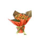 Fidanburada Turuncu Kalanşo (Kalanchoe) Hediye Paketli