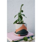 fidayy Terracotta Saksi Yeşilin Tonları Minik 9.5x8cm