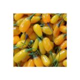 Fide Marketim Amber Sweet Altuni Sarı Goji Berry Fidanı 15 -20 Cm Tüplü