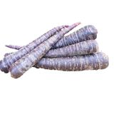 Fide Sepeti Havuç Tohumu (Şalgamlık) 5gr 1 Paket