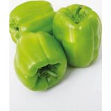 Fide Sepeti Hibrit Dolma Biber Tohumu 1 Paket