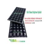 Fide Viyol 10 Adet, 50 Gözlü, Fide Viyolleri, Fide Viyolü (307010780)