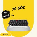 Fide Viyol 10 Adet 70 Göz Fide Viyolü Fide Altlığı Tohum